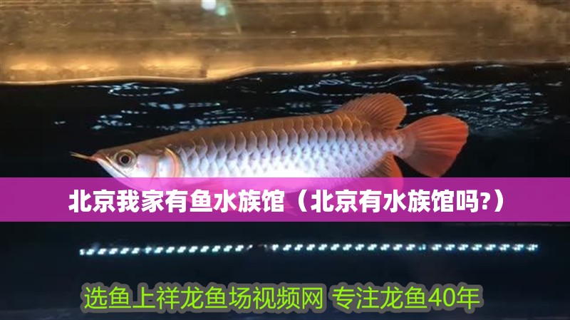 北京我家有魚水族館（北京有水族館嗎?）