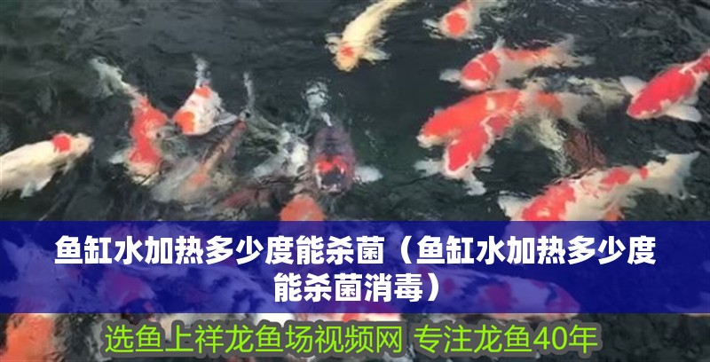魚缸水加熱多少度能殺菌（魚缸水加熱多少度能殺菌消毒）
