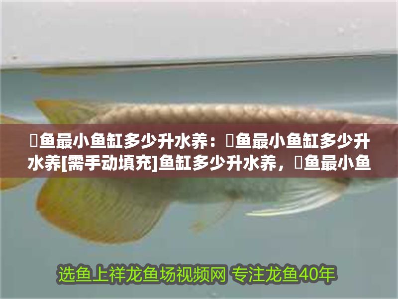 黃金河虎魚隱蔽場所布置，黃金河虎魚繁殖技巧分享，