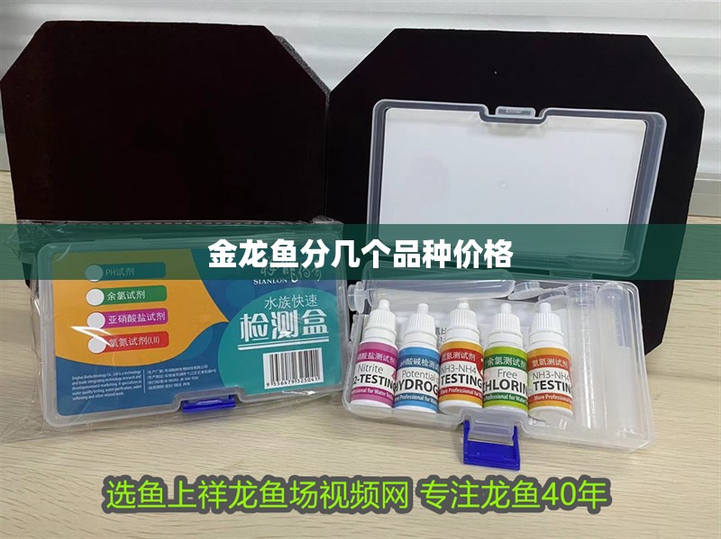 金龍魚分幾個品種價格