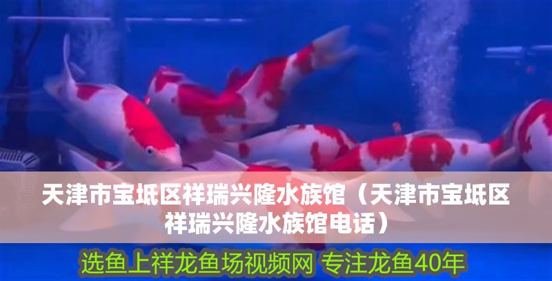 天津市寶坻區祥瑞興隆水族館（天津市寶坻區祥瑞興隆水族館電話）