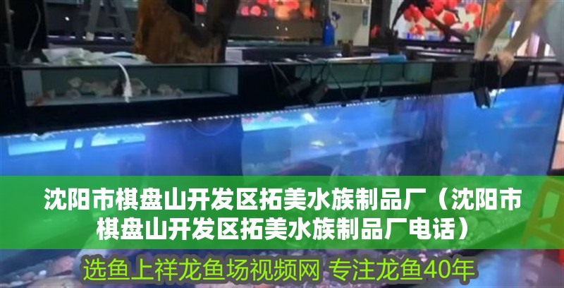 沈陽市棋盤山開發區拓美水族制品廠（沈陽市棋盤山開發區拓美水族制品廠電話）