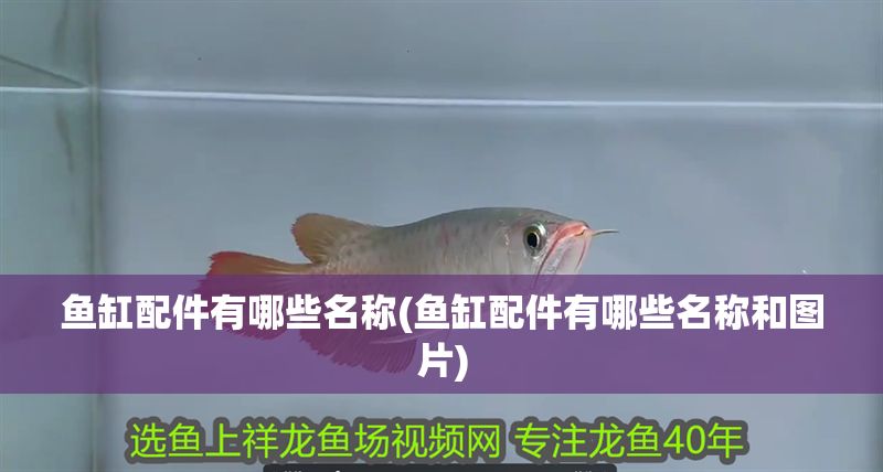 魚缸配件有哪些名稱(魚缸配件有哪些名稱和圖片)