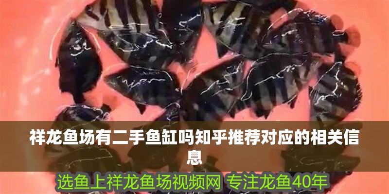 祥龍魚場(chǎng)有二手魚缸嗎知乎推薦對(duì)應(yīng)的相關(guān)信息