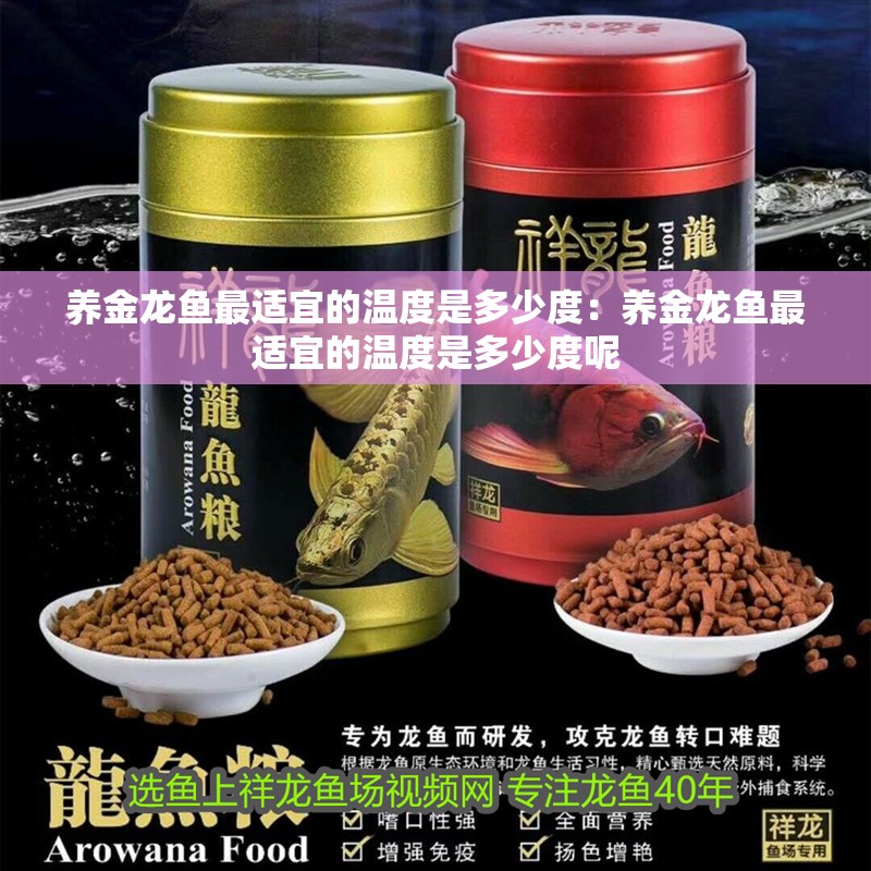 養金龍魚最適宜的溫度是多少度：養金龍魚最適宜的溫度是多少度呢
