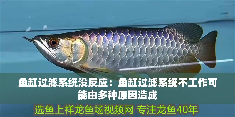 魚缸過濾系統沒反應：魚缸過濾系統不工作可能由多種原因造成