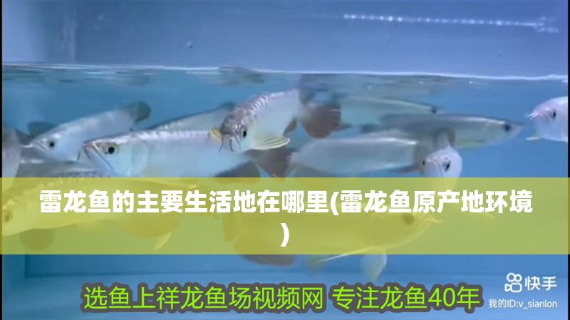 雷龍魚(yú)的主要生活地在哪里(雷龍魚(yú)原產(chǎn)地環(huán)境)