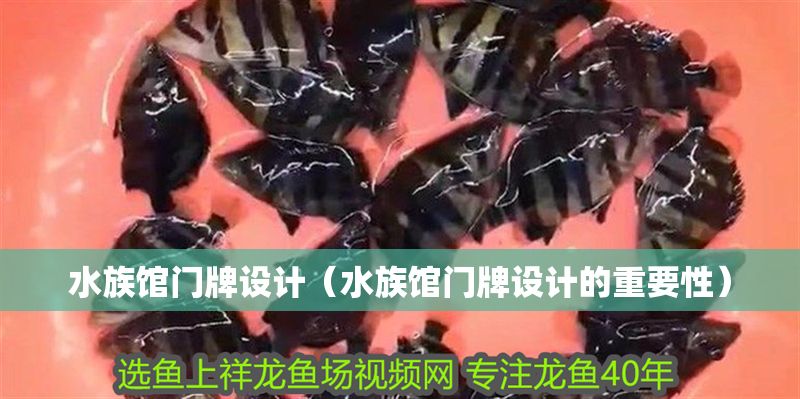 水族館門牌設計（水族館門牌設計的重要性）