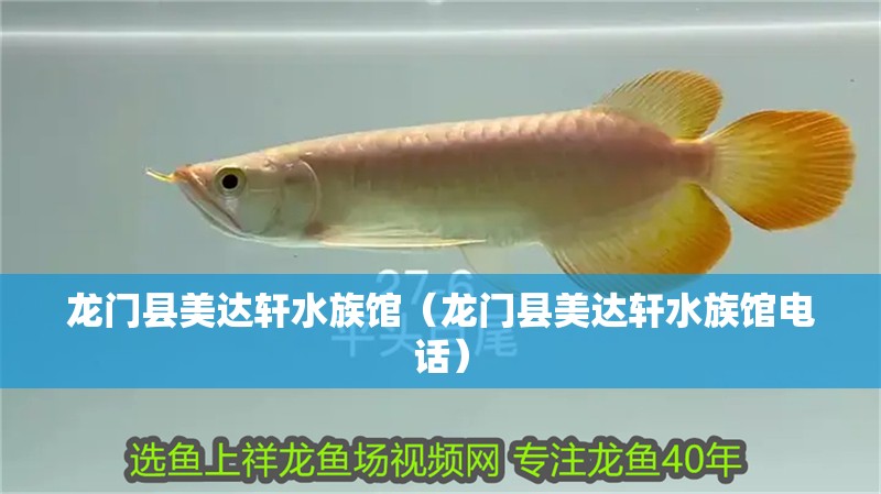 龍門縣美達(dá)軒水族館（龍門縣美達(dá)軒水族館電話）