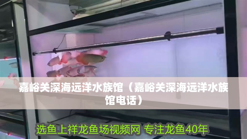 嘉峪關深海遠洋水族館（嘉峪關深海遠洋水族館電話）