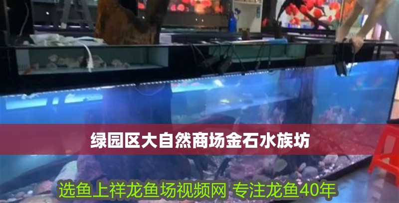 綠園區(qū)大自然商場金石水族坊