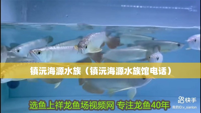 鎮沅海源水族（鎮沅海源水族館電話）