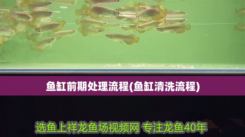 魚缸前期處理流程(魚缸清洗流程)