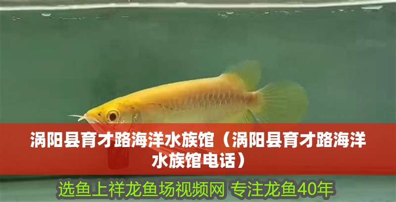 渦陽縣育才路海洋水族館（渦陽縣育才路海洋水族館電話）