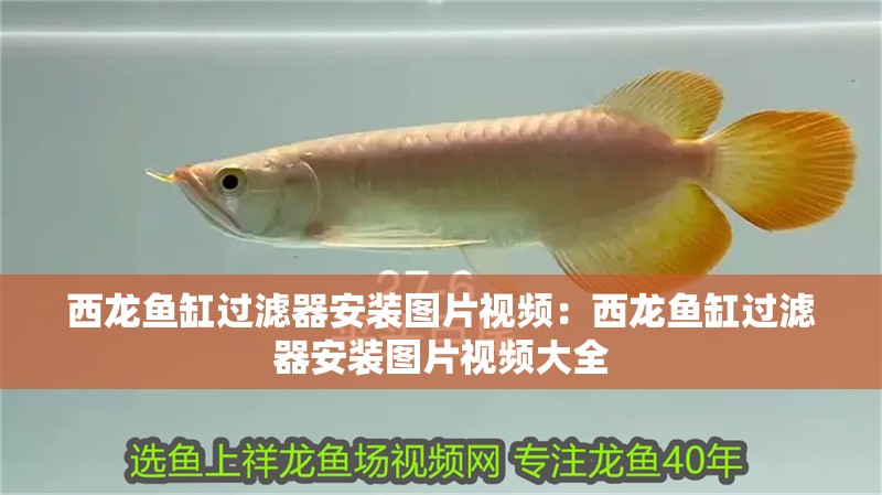 西龍魚(yú)缸過(guò)濾器安裝圖片視頻：西龍魚(yú)缸過(guò)濾器安裝圖片視頻大全
