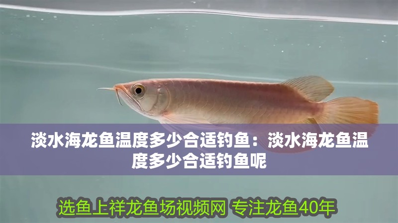 淡水海龍魚溫度多少合適釣魚：淡水海龍魚溫度多少合適釣魚呢