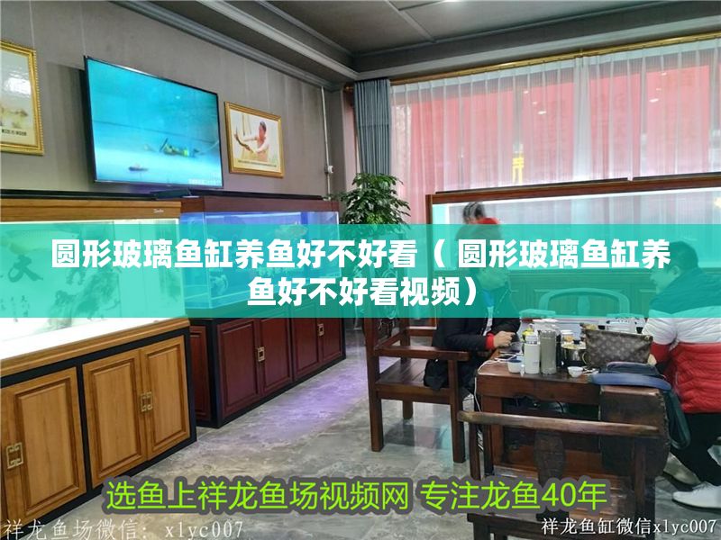 圓形玻璃魚缸養魚好不好看（ 圓形玻璃魚缸養魚好不好看視頻）