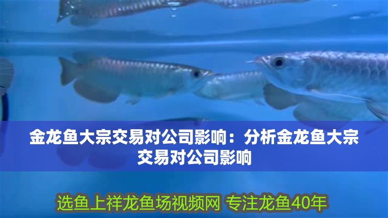 金龍魚大宗交易對(duì)公司影響：分析金龍魚大宗交易對(duì)公司影響