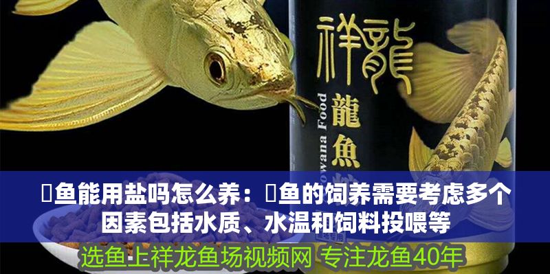 魟魚能用鹽嗎怎么養：魟魚的飼養需要考慮多個因素包括水質、水溫和飼料投喂等