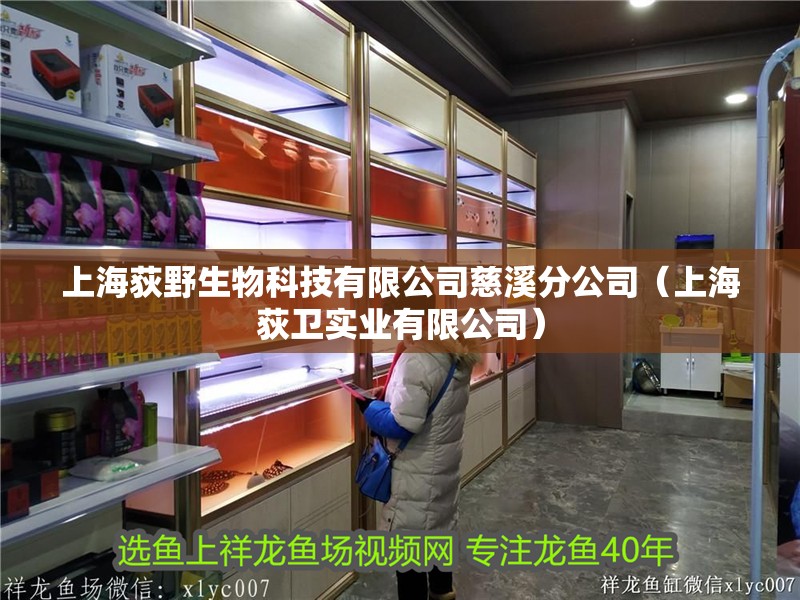 上海荻野生物科技有限公司慈溪分公司(上海荻衛實業有限公司) 全國水族館企業名錄 第2張 上海荻野生物科技有限公司慈溪分公司(上海荻衛實業有限公司) 上海荻野生物科技有限公司慈溪分公司(上海荻衛實業有限公司) 全國水族館企業名錄 第2張