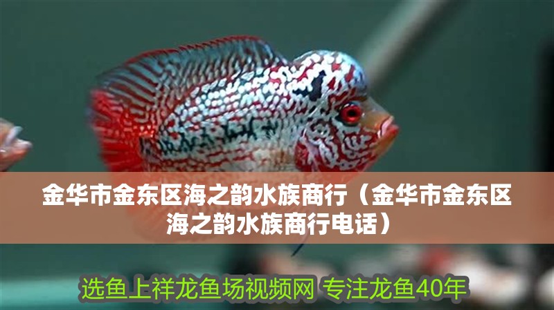 金華市金東區海之韻水族商行（金華市金東區海之韻水族商行電話）