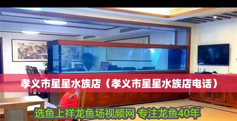 孝義市星星水族店（孝義市星星水族店電話）