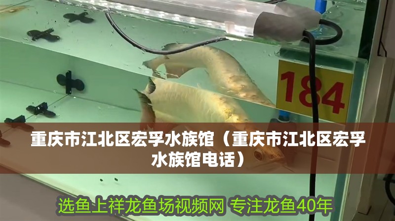 重慶市江北區宏孚水族館（重慶市江北區宏孚水族館電話）