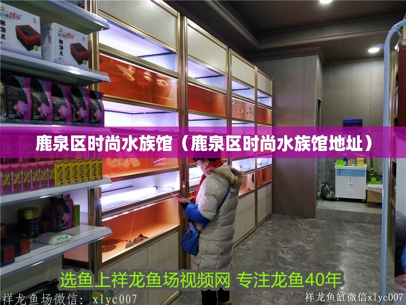 鹿泉區(qū)時(shí)尚水族館（鹿泉區(qū)時(shí)尚水族館地址）