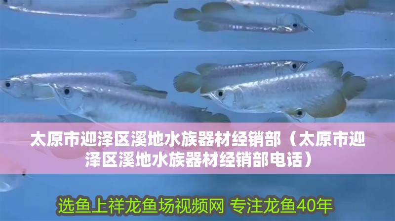 太原市迎澤區溪地水族器材經銷部（太原市迎澤區溪地水族器材經銷部電話）