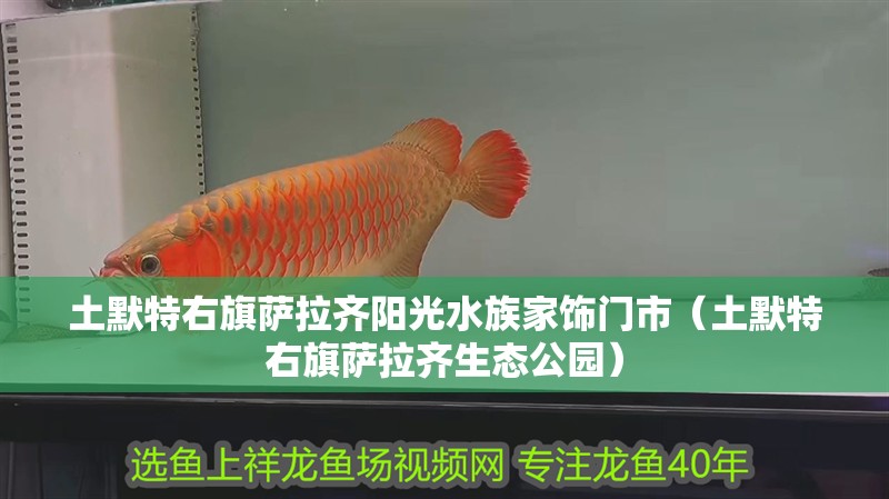 土默特右旗薩拉齊陽光水族家飾門市（土默特右旗薩拉齊生態公園）