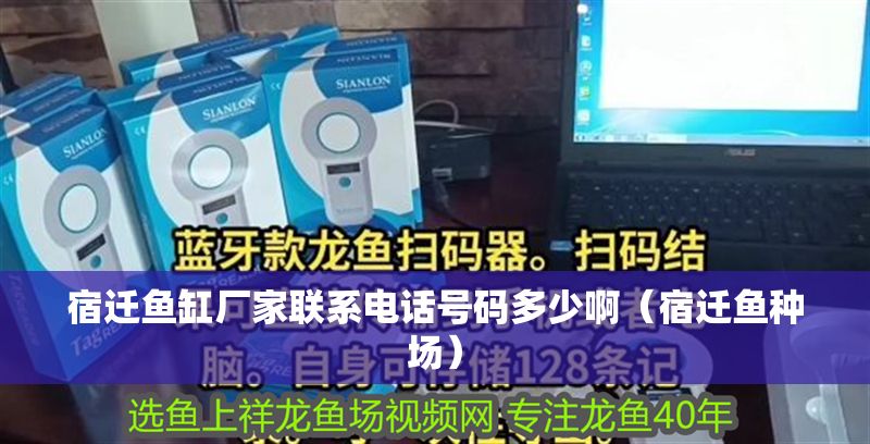 宿遷魚缸廠家聯系電話號碼多少啊（宿遷魚種場）