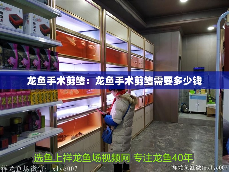 龍魚手術剪鰭：龍魚手術剪鰭需要多少錢