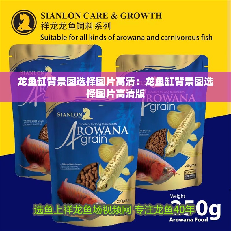 龍魚缸背景圖選擇圖片高清：龍魚缸背景圖選擇圖片高清版