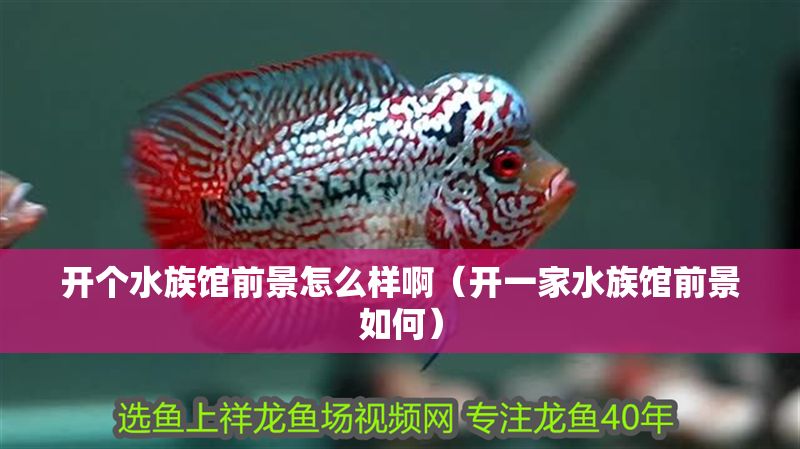 開個(gè)水族館前景怎么樣啊（開一家水族館前景如何） 開個(gè)水族館前景怎么樣啊（開一家水族館前景如何） 水族館百科（水族館加盟） 第1張