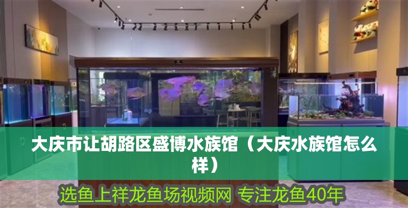 大慶市讓胡路區盛博水族館（大慶水族館怎么樣）