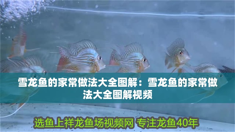 雪龍魚的家常做法大全圖解：雪龍魚的家常做法大全圖解視頻