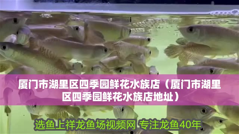 廈門市湖里區四季園鮮花水族店（廈門市湖里區四季園鮮花水族店地址）