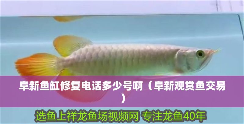 阜新魚缸修復(fù)電話多少號啊（阜新觀賞魚交易）