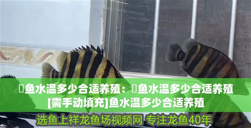 魟魚水溫多少合適養殖：魟魚水溫多少合適養殖[需手動填充]魚水溫多少合適養殖