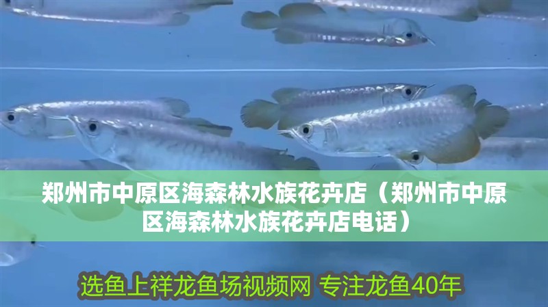鄭州市中原區海森林水族花卉店（鄭州市中原區海森林水族花卉店電話）