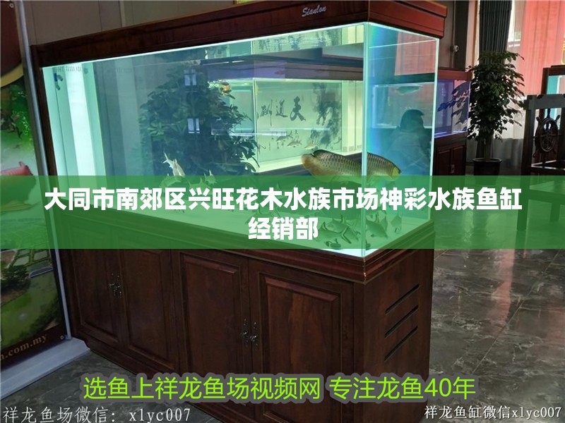 大同市南郊區興旺花木水族市場神彩水族魚缸經銷部