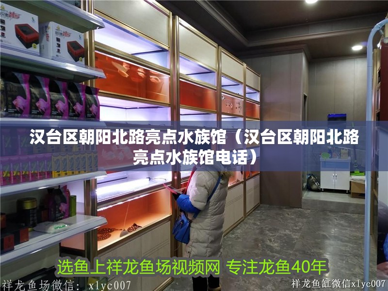 漢臺區(qū)朝陽北路亮點水族館（漢臺區(qū)朝陽北路亮點水族館電話）