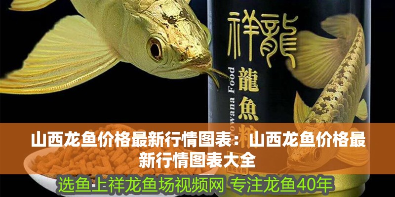 山西龍魚價格最新行情圖表：山西龍魚價格最新行情圖表大全