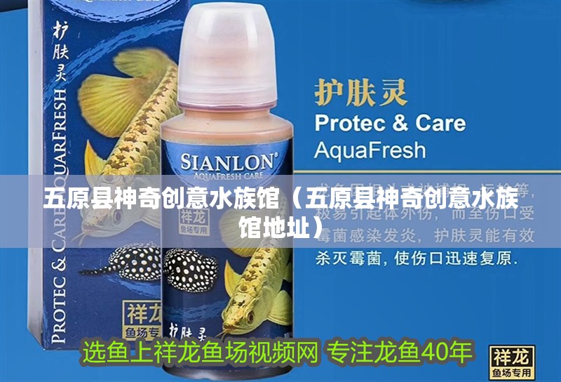 五原縣神奇創(chuàng)意水族館（五原縣神奇創(chuàng)意水族館地址）