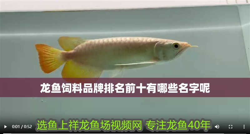 龍魚飼料品牌排名前十有哪些名字呢