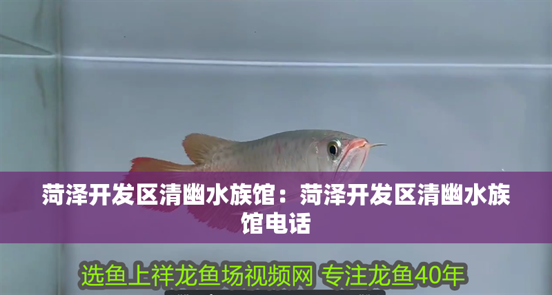 菏澤開發區清幽水族館：菏澤開發區清幽水族館電話 菏澤開發區清幽水族館：菏澤開發區清幽水族館電話 全國水族館企業名錄 第2張