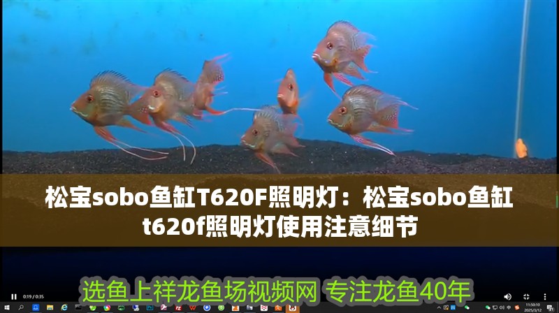 松寶sobo魚缸T620F照明燈：松寶sobo魚缸t620f照明燈使用注意細節