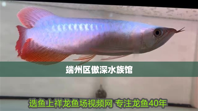 端州區傲深水族館