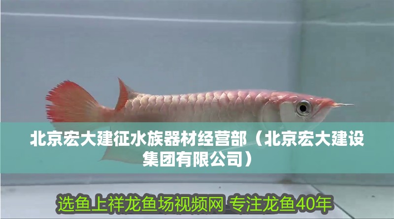 北京宏大建征水族器材經營部（北京宏大建設集團有限公司）