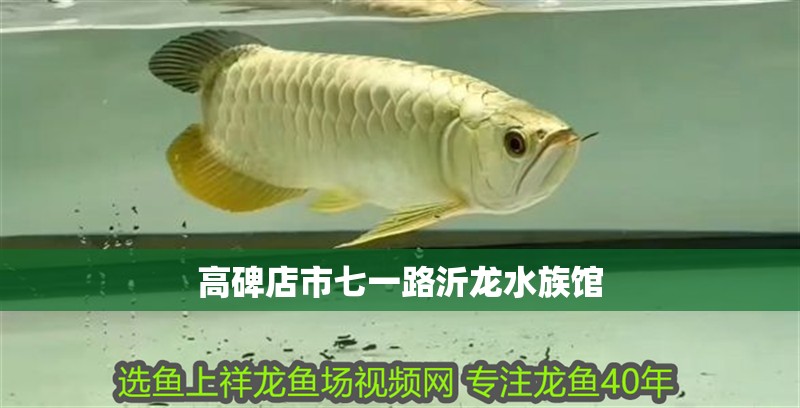 高碑店市七一路沂龍水族館